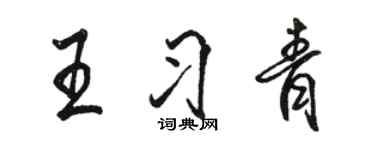 駱恆光王習青行書個性簽名怎么寫