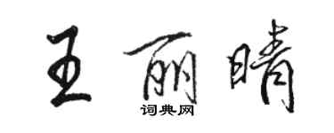 駱恆光王麗晴行書個性簽名怎么寫