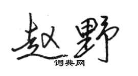 駱恆光趙野行書個性簽名怎么寫