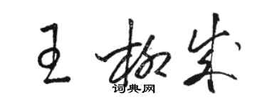 駱恆光王柳成草書個性簽名怎么寫