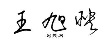 梁錦英王旭映草書個性簽名怎么寫