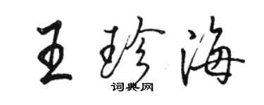 駱恆光王珍海行書個性簽名怎么寫