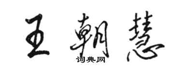 駱恆光王朝慧行書個性簽名怎么寫