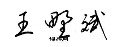 梁錦英王野斌草書個性簽名怎么寫