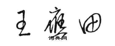 駱恆光王應田草書個性簽名怎么寫