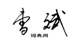 梁錦英曹斌草書個性簽名怎么寫