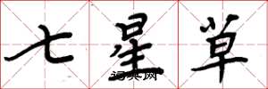周炳元七星草楷書怎么寫