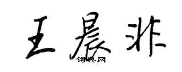 王正良王晨非行書個性簽名怎么寫