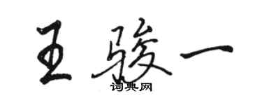 駱恆光王駿一行書個性簽名怎么寫