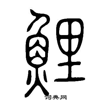 說文解字寫的鯉