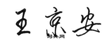 駱恆光王京安行書個性簽名怎么寫
