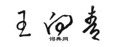 駱恆光王向青草書個性簽名怎么寫