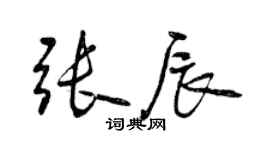 曾慶福張辰行書個性簽名怎么寫