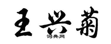 胡問遂王興菊行書個性簽名怎么寫