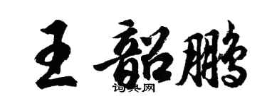 胡問遂王韶鵬行書個性簽名怎么寫
