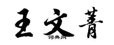胡問遂王文菁行書個性簽名怎么寫