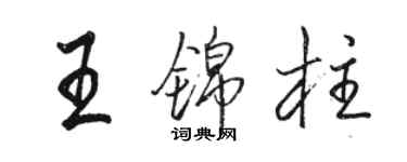 駱恆光王錦柱行書個性簽名怎么寫