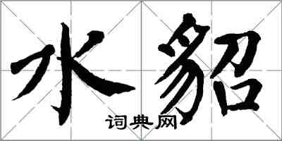 翁闓運水貂楷書怎么寫