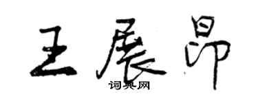 曾慶福王展昂行書個性簽名怎么寫