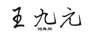 駱恆光王九元行書個性簽名怎么寫