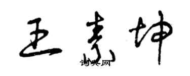 曾慶福王素坤草書個性簽名怎么寫