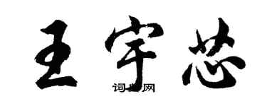 胡問遂王宇芯行書個性簽名怎么寫