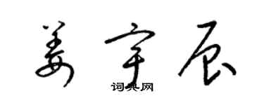 梁錦英姜宇辰草書個性簽名怎么寫