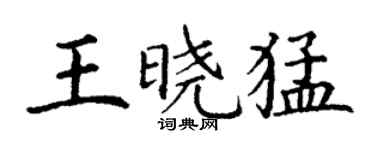 丁謙王曉猛楷書個性簽名怎么寫