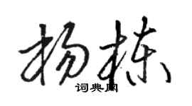 駱恆光楊棟草書個性簽名怎么寫