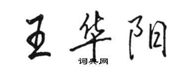 駱恆光王華陽行書個性簽名怎么寫