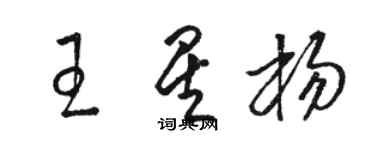 駱恆光王星楊草書個性簽名怎么寫