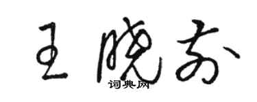 駱恆光王曉前草書個性簽名怎么寫