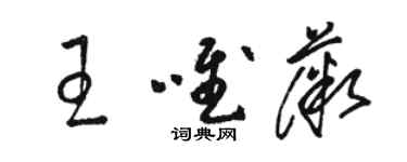 駱恆光王唯薇草書個性簽名怎么寫