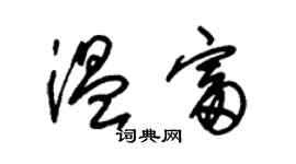 朱錫榮溫富草書個性簽名怎么寫