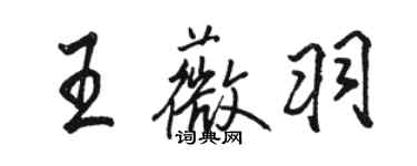 駱恆光王薇羽行書個性簽名怎么寫