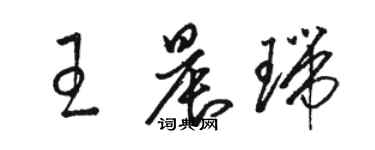 駱恆光王晨瑞草書個性簽名怎么寫