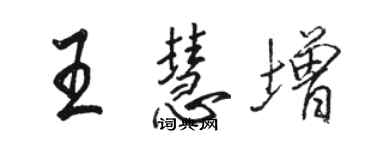 駱恆光王慧增行書個性簽名怎么寫