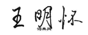 駱恆光王明懷行書個性簽名怎么寫