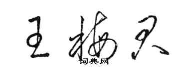 駱恆光王梅君草書個性簽名怎么寫