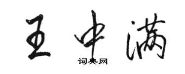 駱恆光王中滿行書個性簽名怎么寫