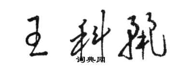 駱恆光王科麗草書個性簽名怎么寫