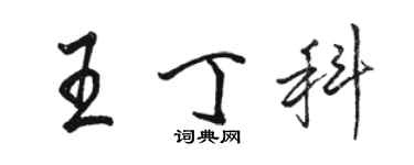 駱恆光王丁科行書個性簽名怎么寫