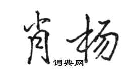 駱恆光肖楊行書個性簽名怎么寫