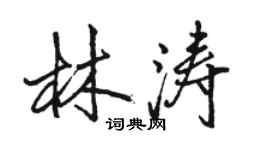 駱恆光林濤行書個性簽名怎么寫