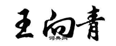 胡問遂王向青行書個性簽名怎么寫