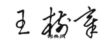 駱恆光王樹章草書個性簽名怎么寫