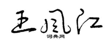 曾慶福王風江草書個性簽名怎么寫