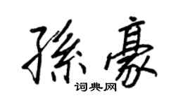 王正良孫豪行書個性簽名怎么寫