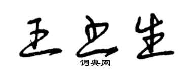 曾慶福王書生草書個性簽名怎么寫