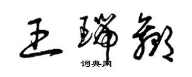 曾慶福王瑞贏草書個性簽名怎么寫